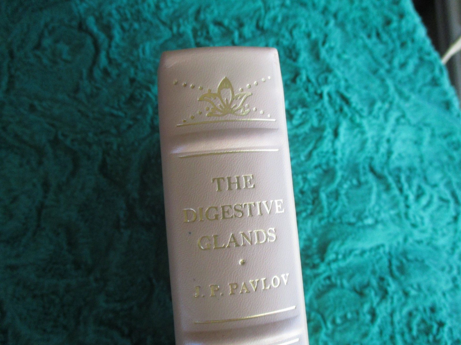 Digestive Glands Russian/English Pavlov Classics of Medicine Library Leather Y3