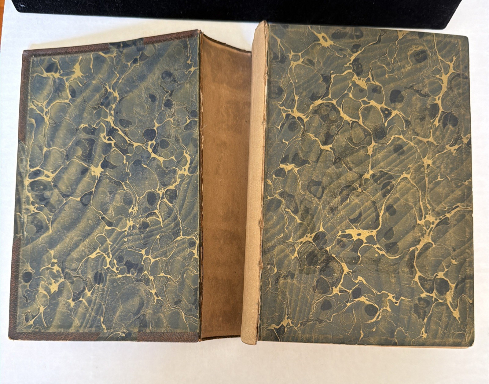 Antique Book The Works of Tennyson Poet Laureate 1901 Printing Half Leather