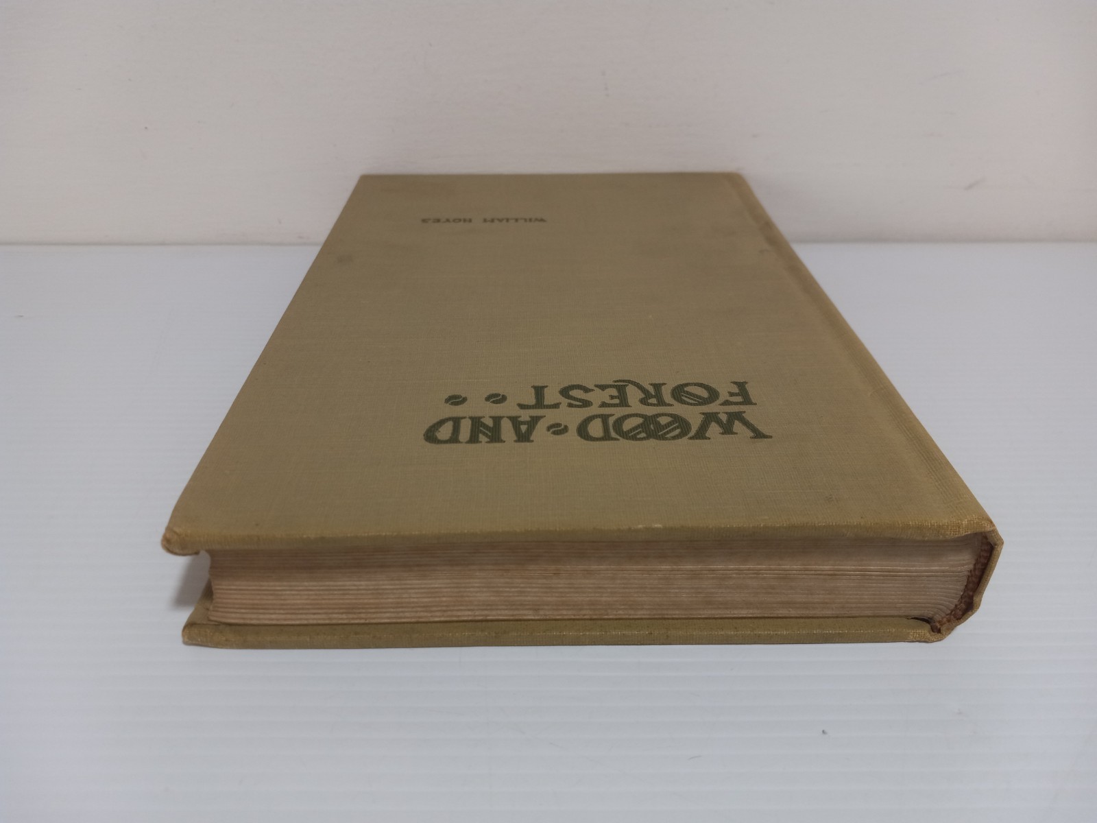 Wood and Forest by William Noyes Educational Vtg 1912 HC Vtg Manual Arts Press