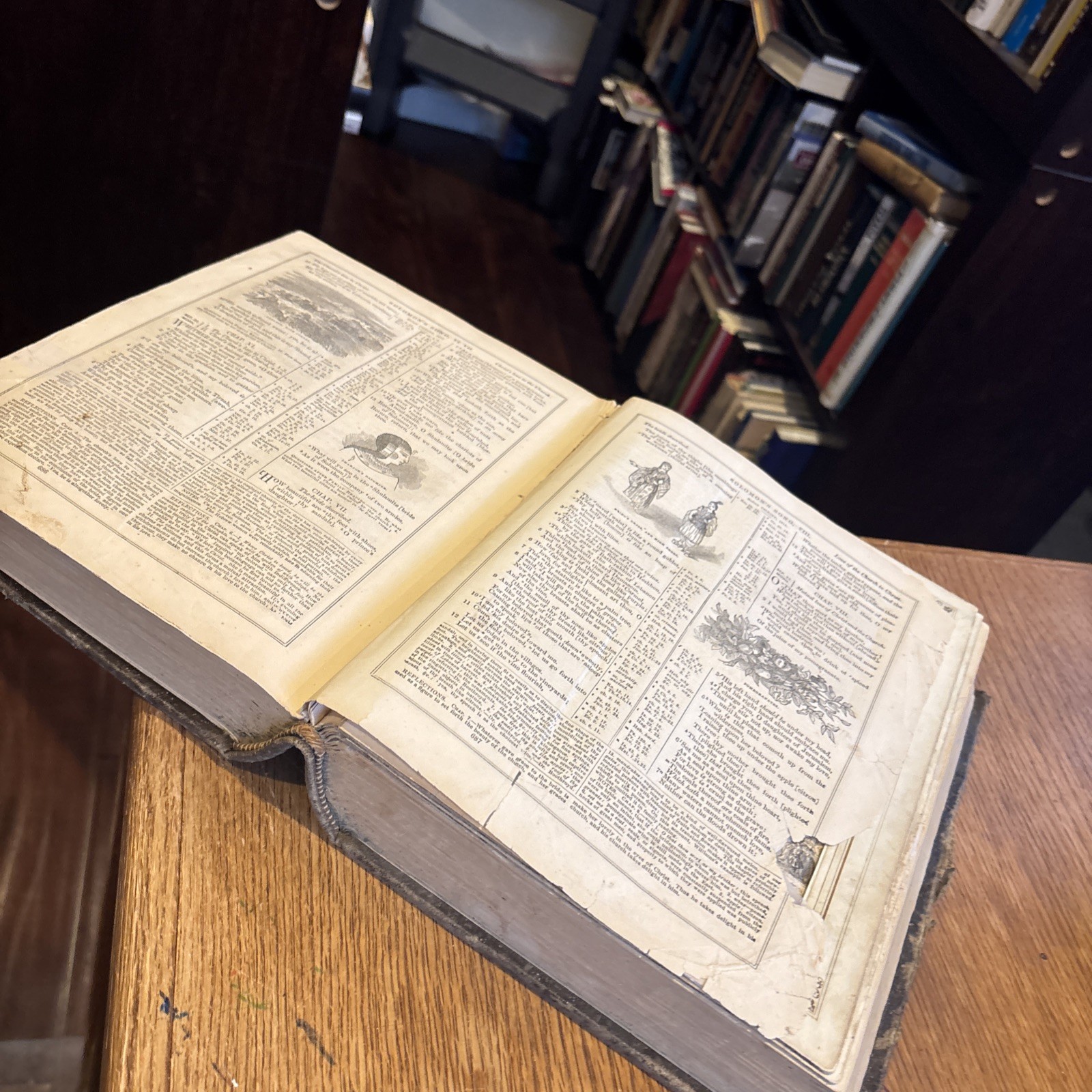 THE ILLUSTRATED DOMESTIC BIBLE Rev. Ingram Cobb in M.A. 1866 THEODORE BEENY FAM.