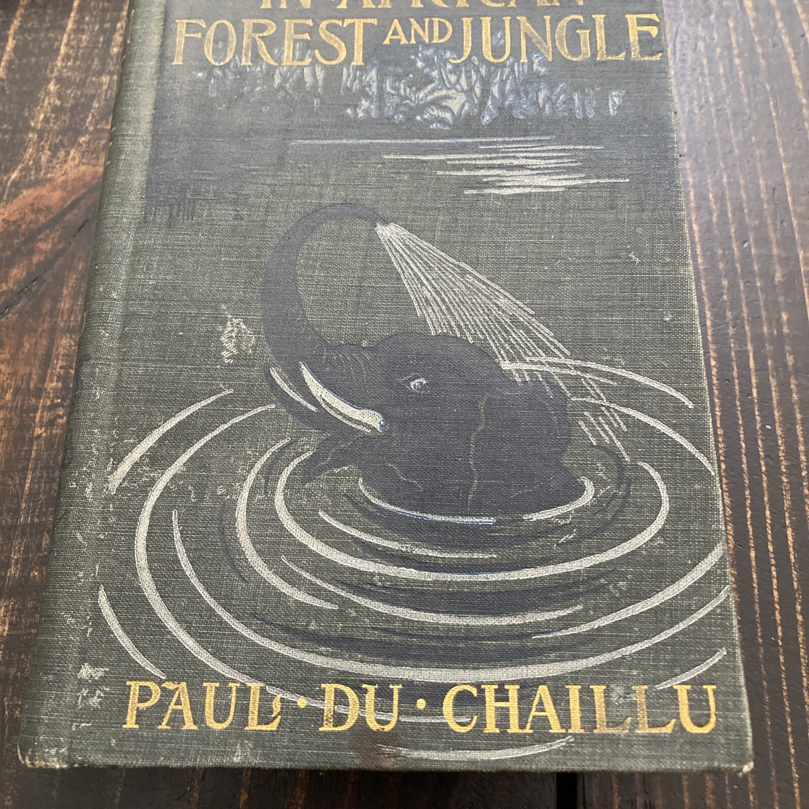 In African Forest and Jungle, Hardcover by Du Chaillu, Paul 1903 1st ed. S12