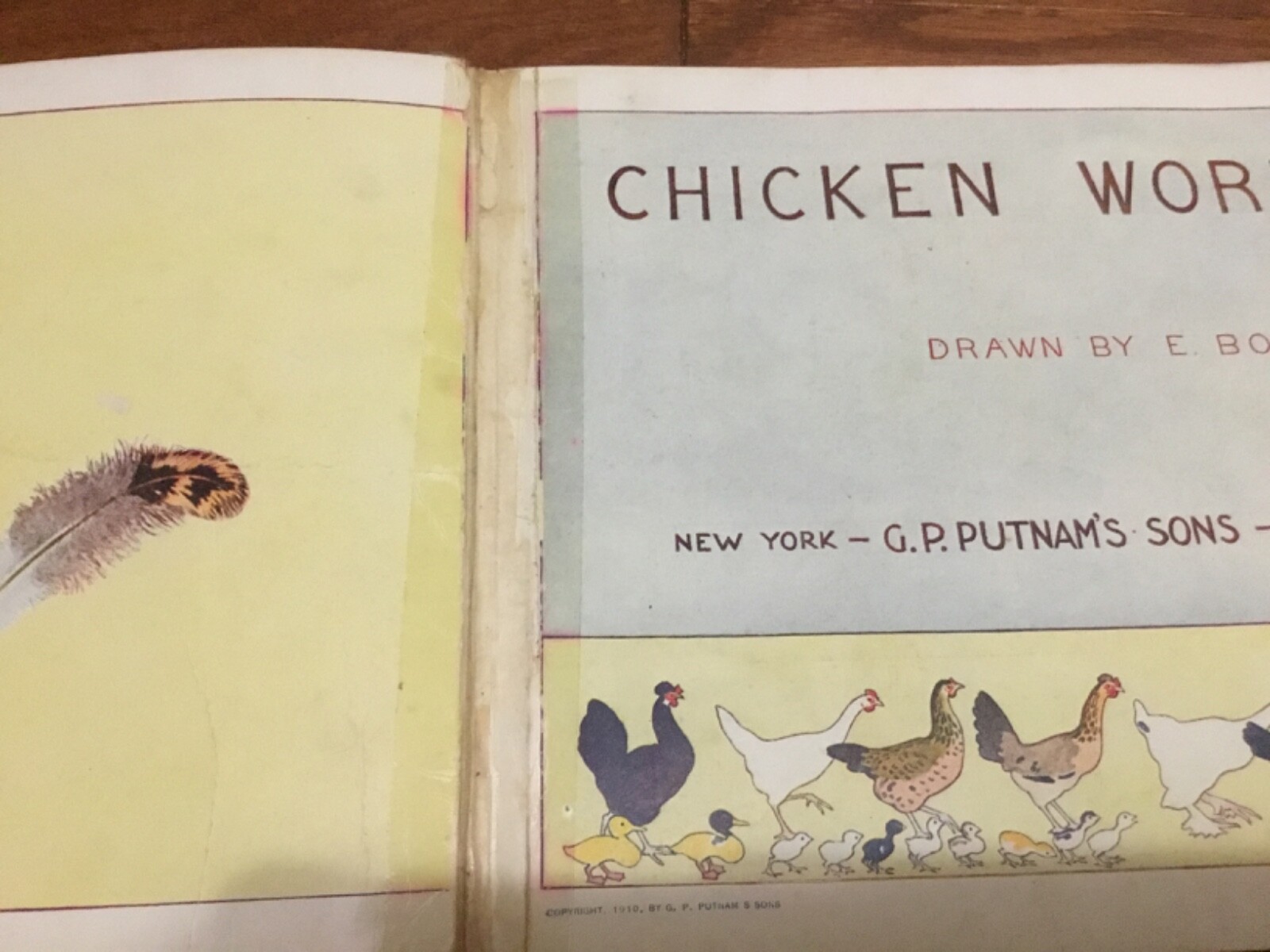 Chicken World, Drawn by E. Boyd Smith, G P Putnam, 1910, HC