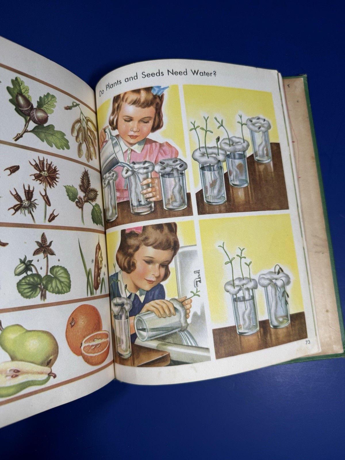 All Around Us Basic Studies in Science Book B. Curriculum foundation series.