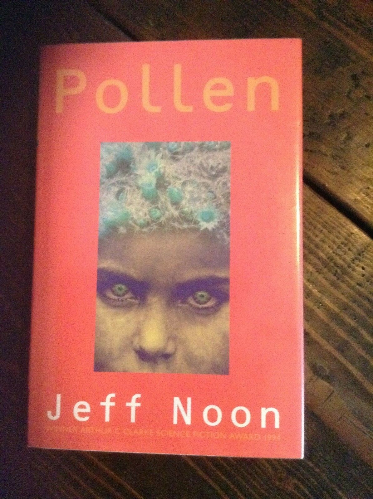 Jeff Noon POLLEN First Edition Manchester UK 1995 HB Fine Unread