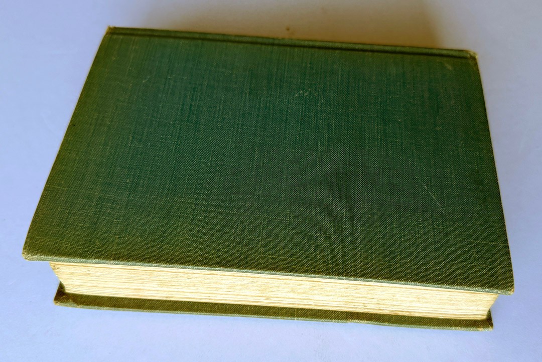 „They Lived: A Brontë Novel“ by E. Thornton Cook 1st Edition – Charlotte Bronte