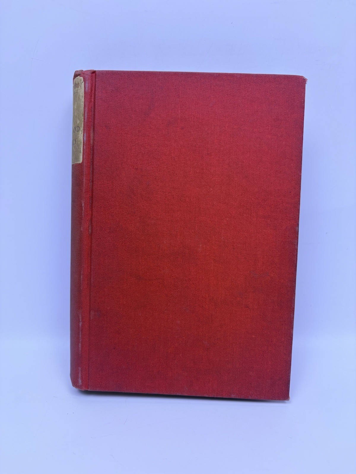 Green Pastures And Paccadilly William Black John W. Lovell Company NY Hardcover