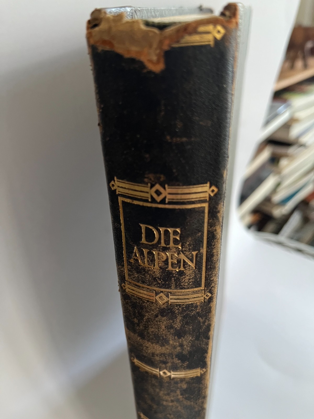 1926 THE ALPS Die Alpen Alpine Photography Hans Schmithals, German Wasmuth