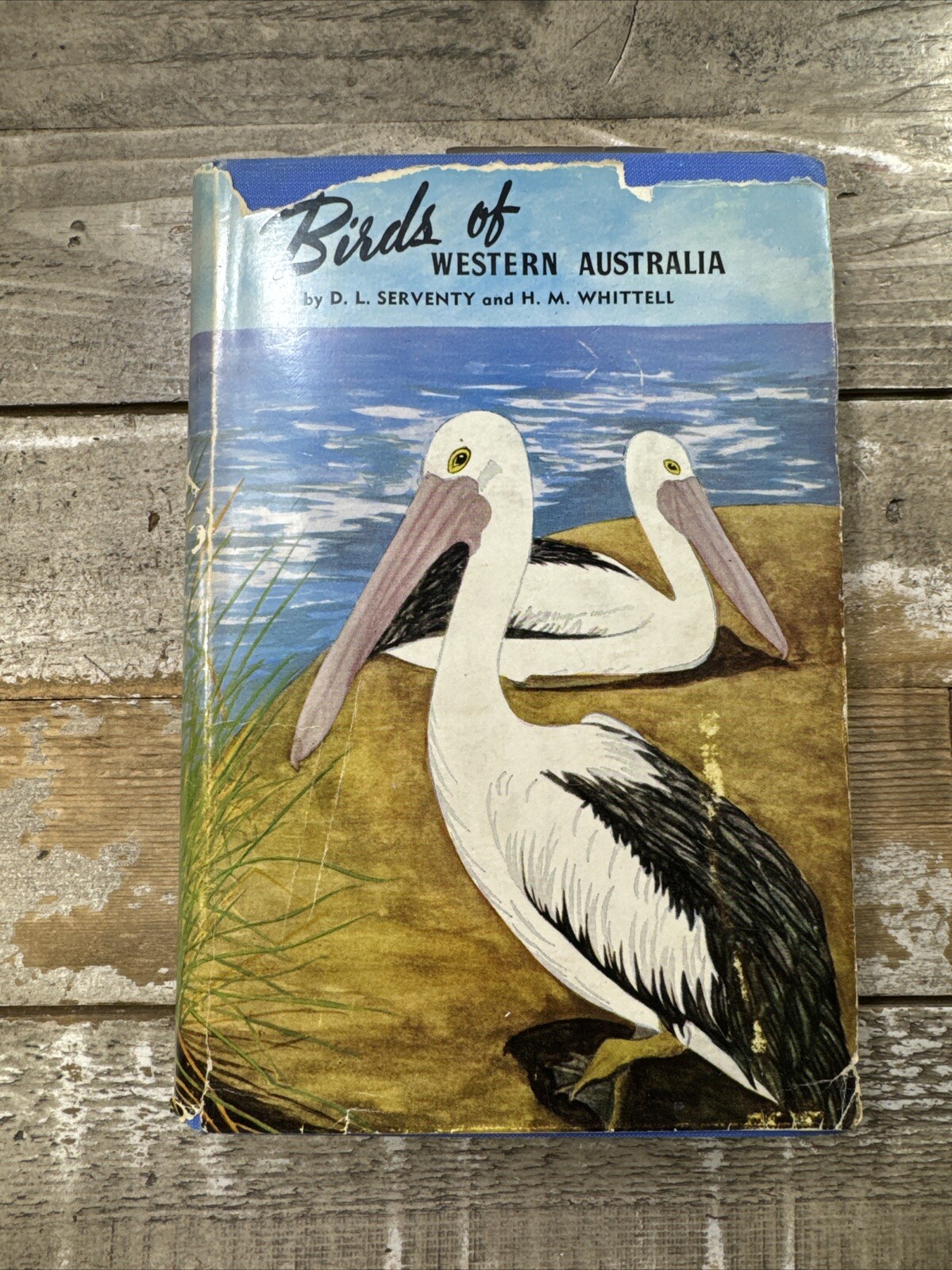 1967 Vintage Animal Book „Birds of Western Australia“ Illustrated, Dust Jacket