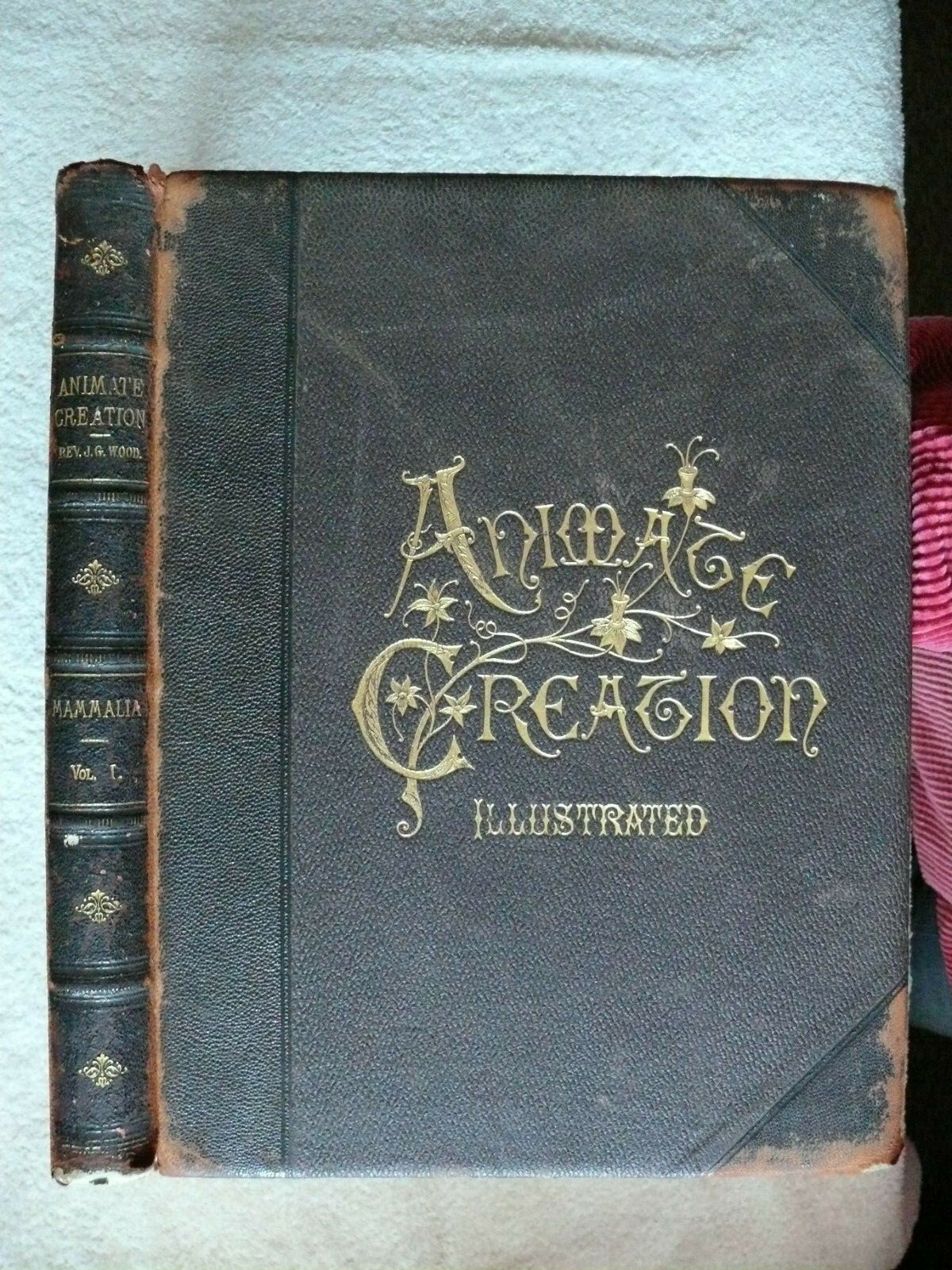 ANIMATE CREATION: OUR LIVING WORLD Vol. 1 by J. Wood. New York: Selmar Hess 1898