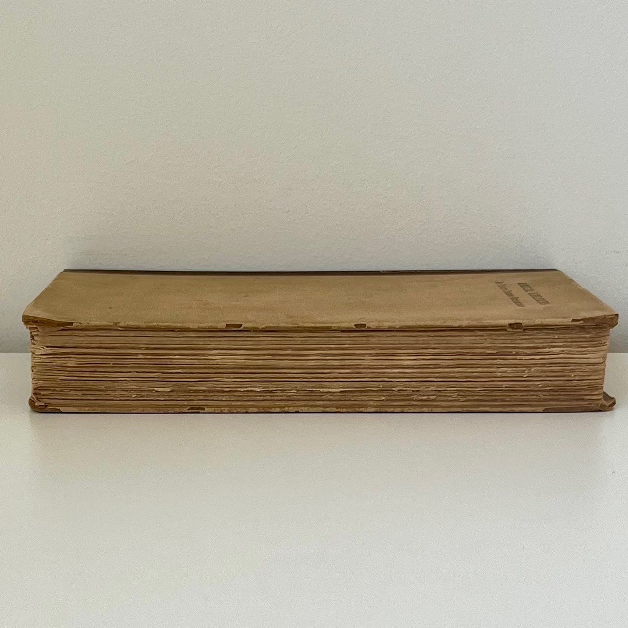 Ernest Cushing Richardson Biblical Libraries First Edition 1914 Princeton UP