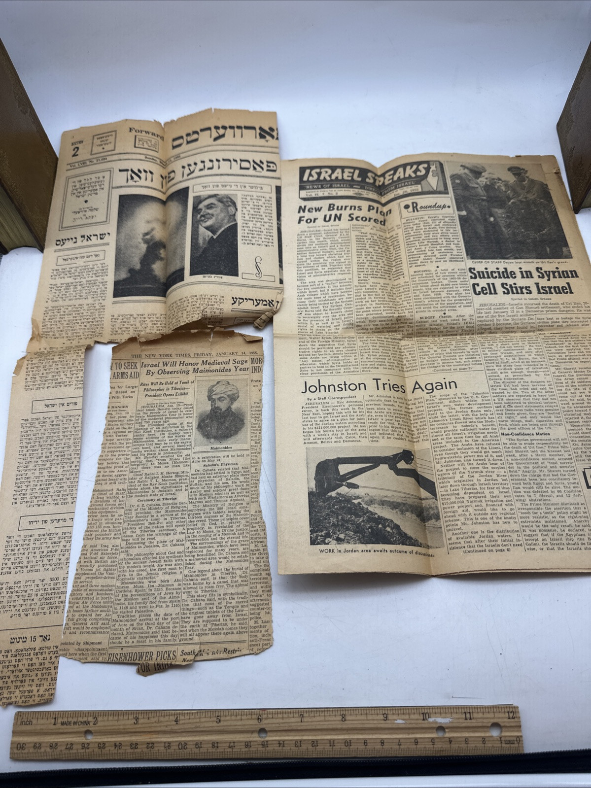 1955 English & Yiddish Newspaper Clipping Collection Judaica Historical Ephemera