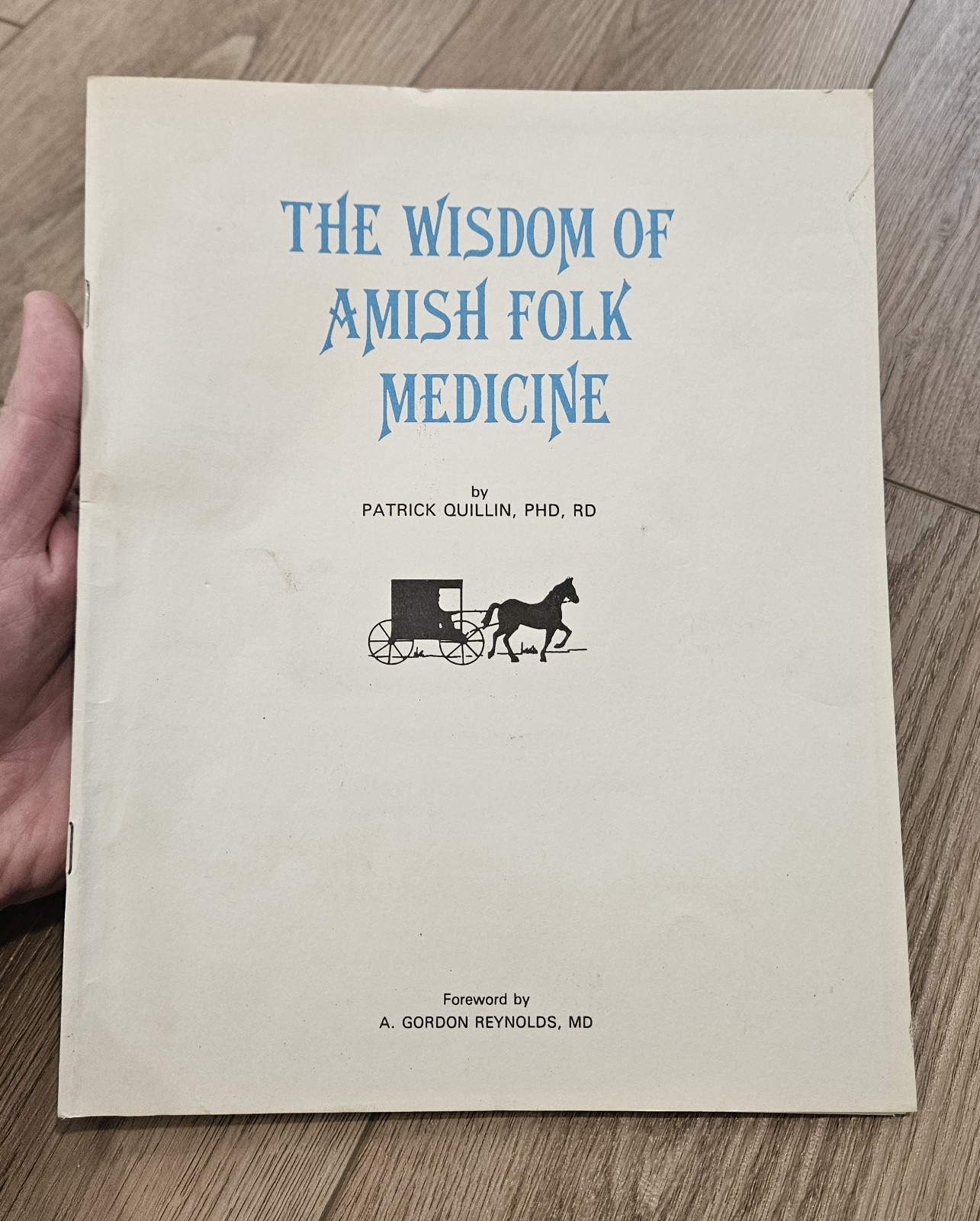 The Wisdom Of Amish Folk Medicine by Patrick Quillin 1994 Folk Remedies Book
