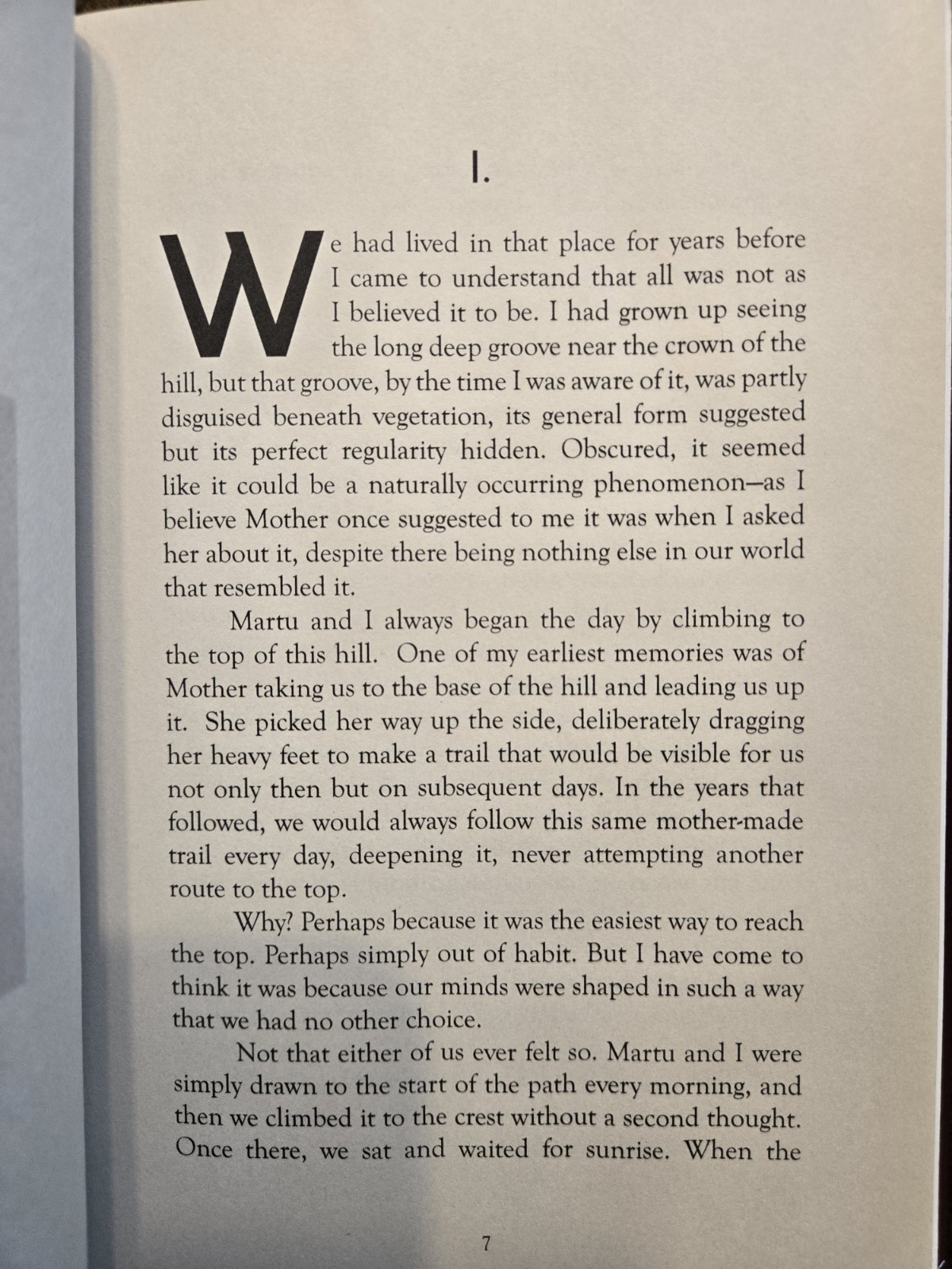 Mother Brian Evenson Raphus Press Limited Edition OOP