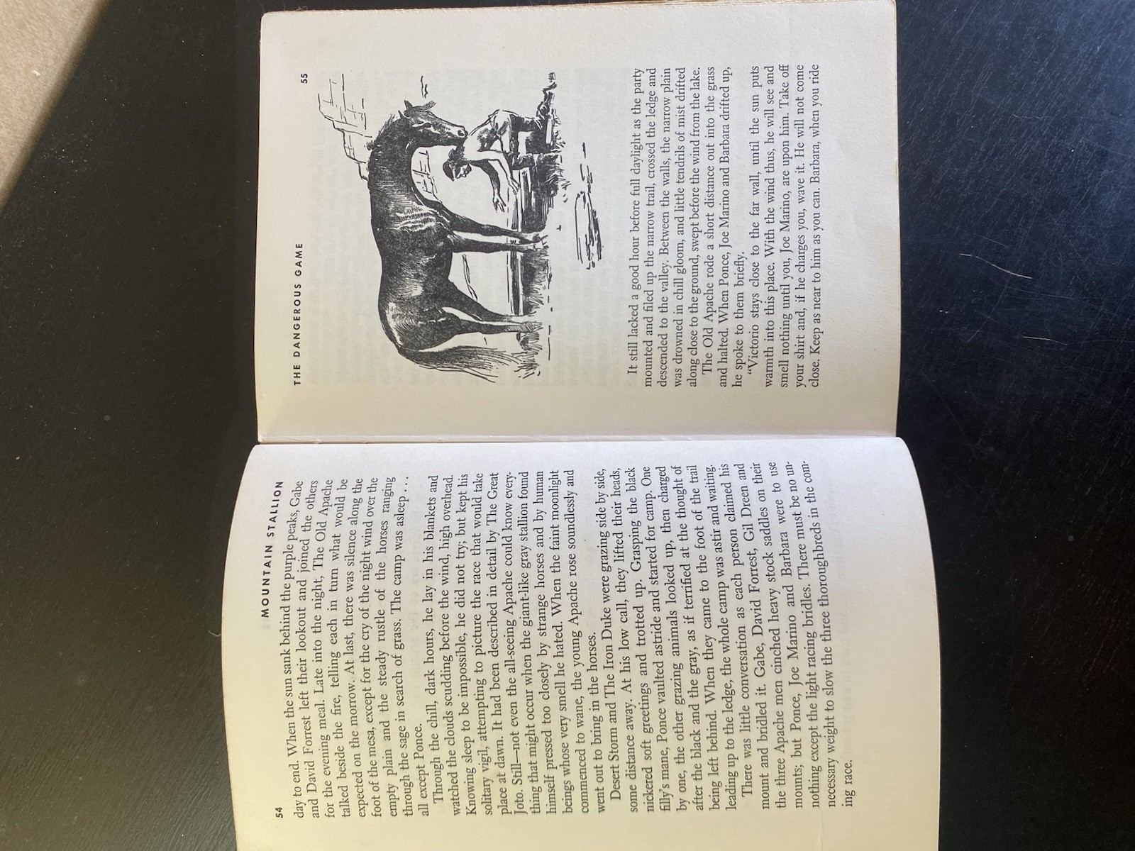 Mountain Stallion Logan Forster Hardcover 1958 Ex-Library