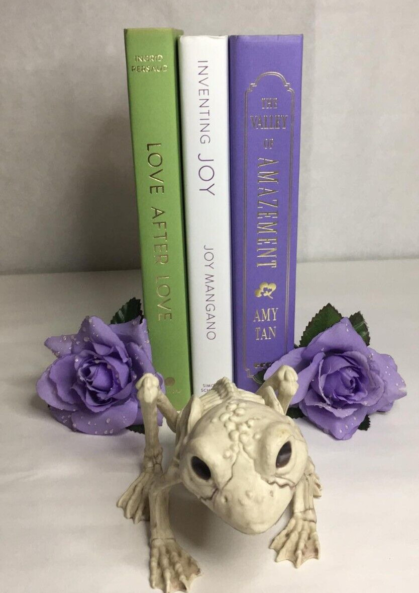Lot of 3 HC Books – GENDERQUEER Pride Flag Shades LGBTQ+ Decor Display Props