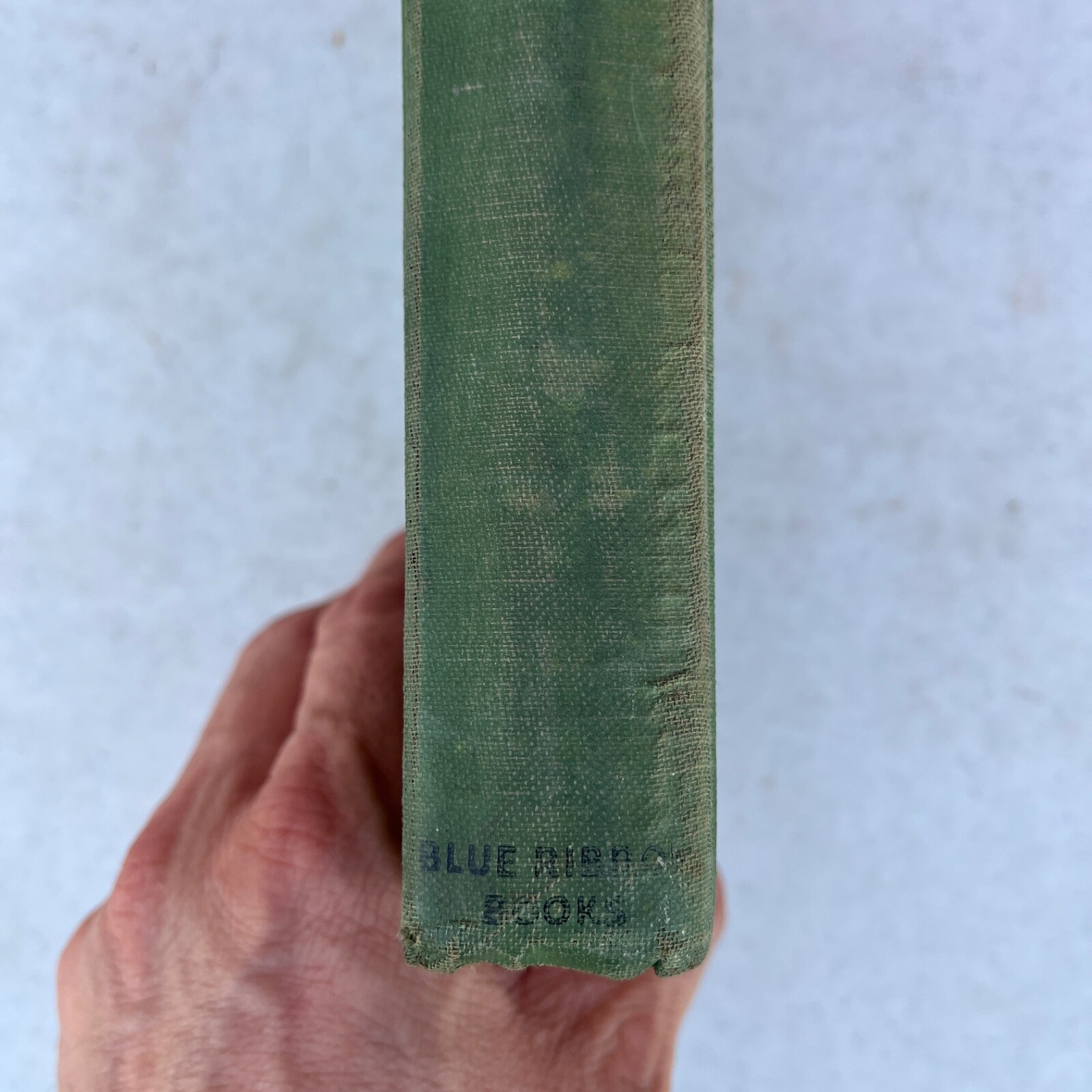 The Best Loved Poems of James Whitcomb 1920 Hardcover Book Hardcover