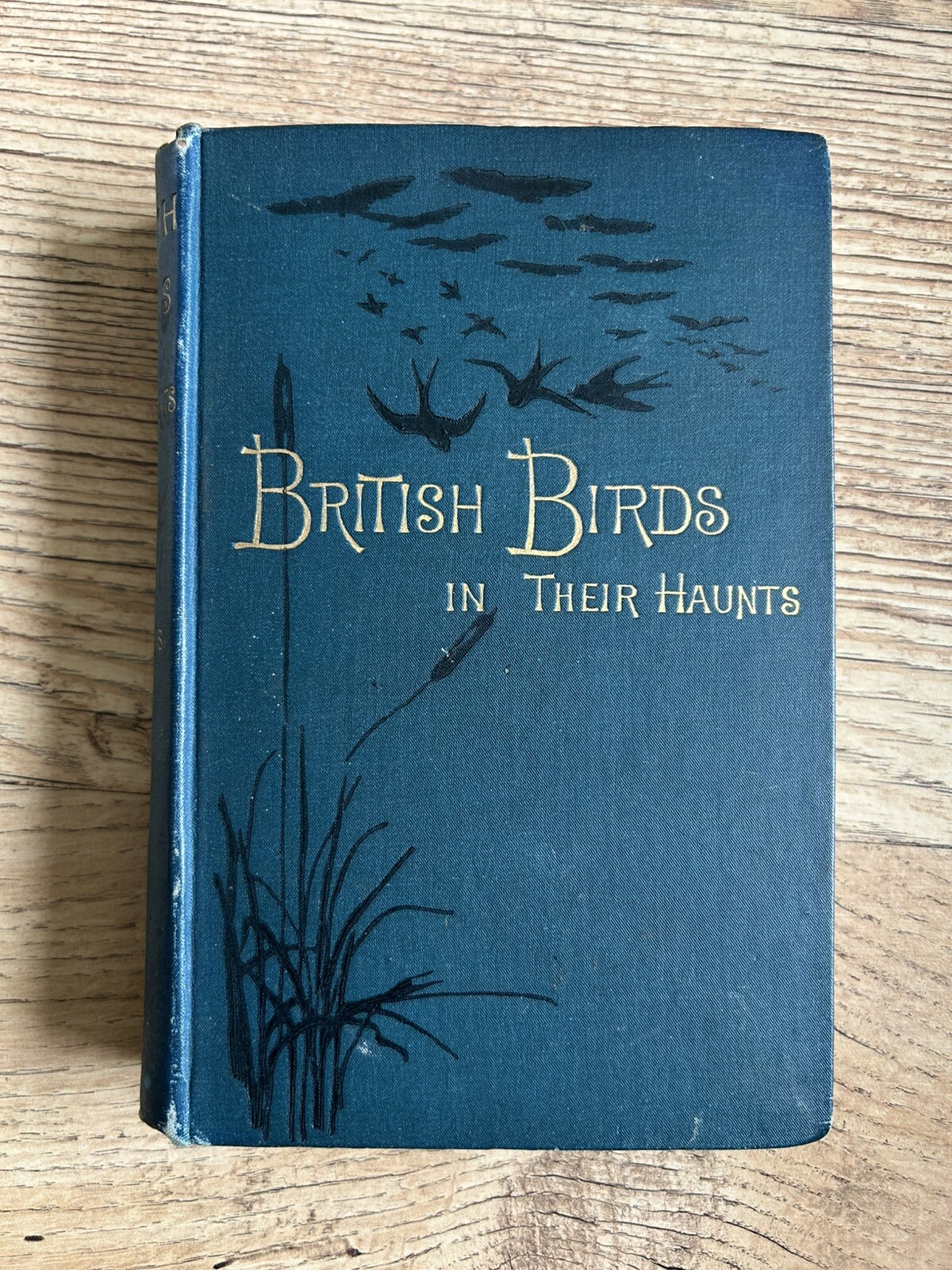 Rev C A Johns – British Birds in Their Haunts (1904 Eleventh Edition) Hardback