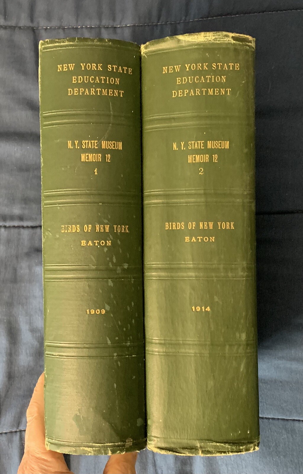 1st Edition BIRDS OF NEW YORK N.Y. State Museum in Two Volumes Color Plates 1910