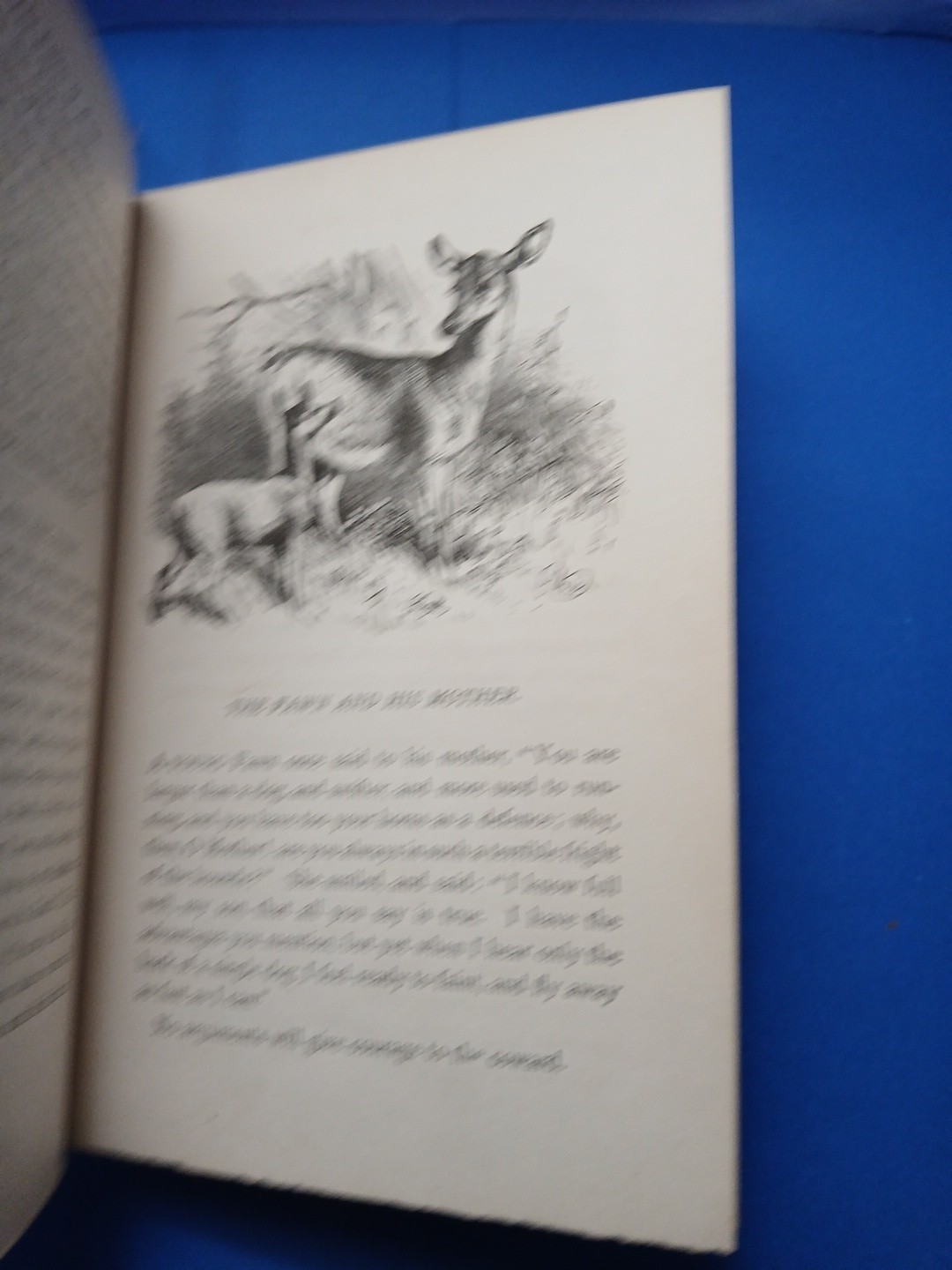Vintage 1800’s Book Three Hundred Aesop’s Fables Illustrated Victorian Binding