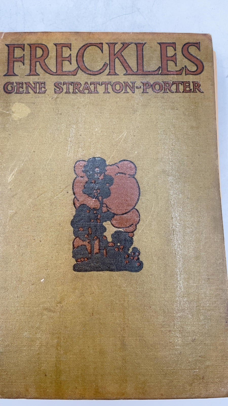 Freckles Gene Stratton-Porter Hardcover 1904