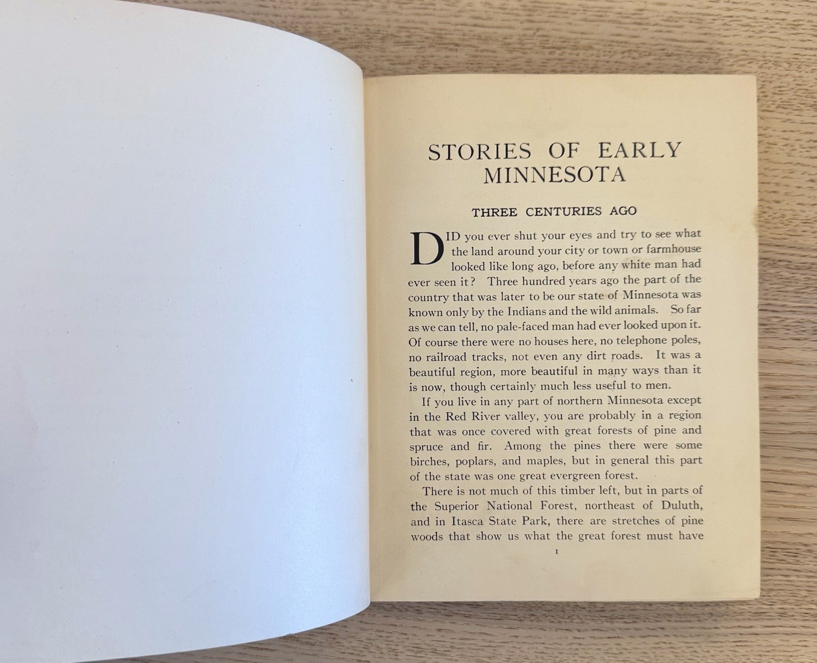 Antique 1931 Stories of Early Minnesota by Buck & Buck HC Illustrated