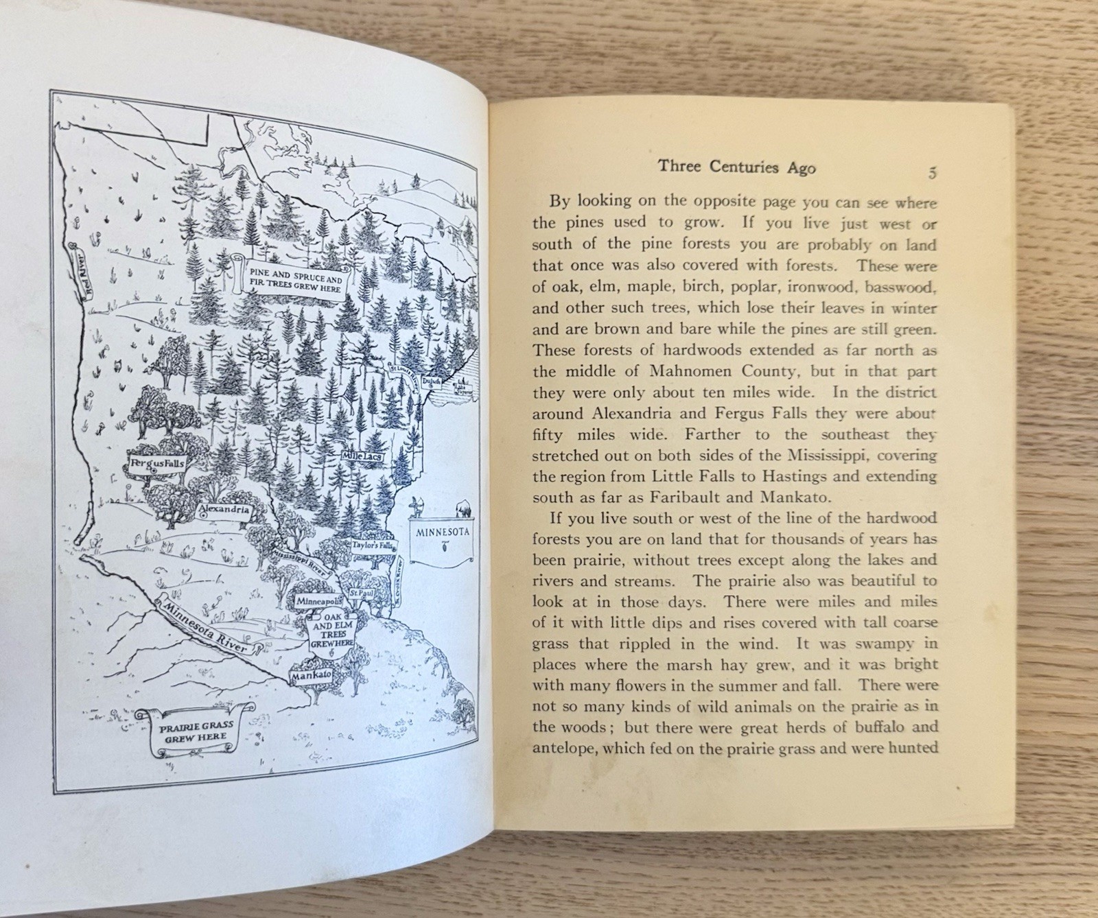 Antique 1931 Stories of Early Minnesota by Buck & Buck HC Illustrated