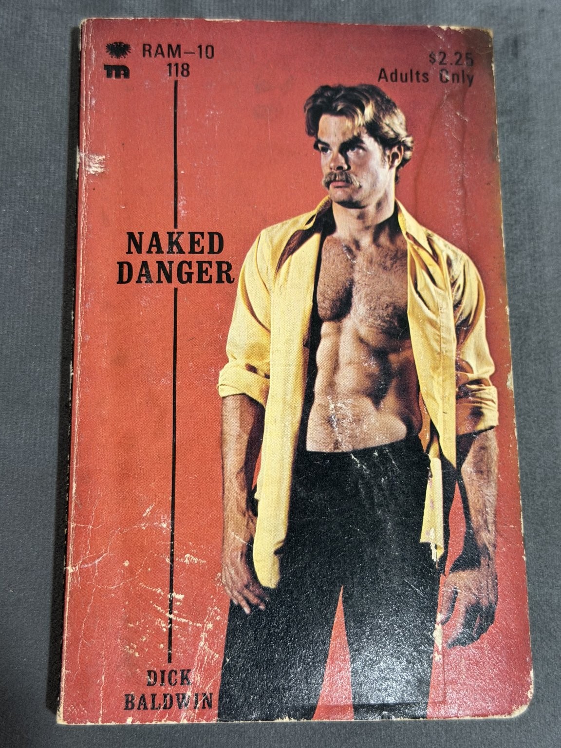 Naked Danger Dick Baldwin 1975 Vintage Adult Pulp Gay Erotica Sleaze *READ