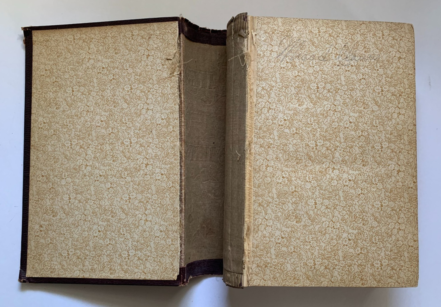 Antique PICTORIAL LIVES of the SAINTS HC Illustrated 1888