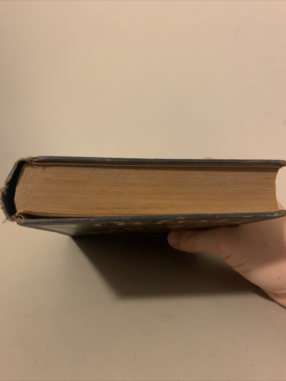 Heidi by Johanna Spyri, 1925, The John C. Winston Publishing Company Vintage