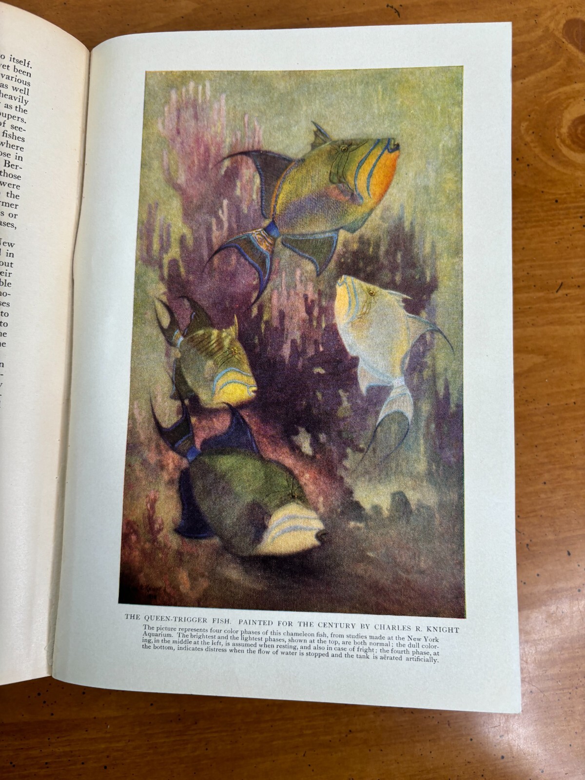 Antique 1910 Hardbound Century Magazine May to October Issues – Volume LXXX