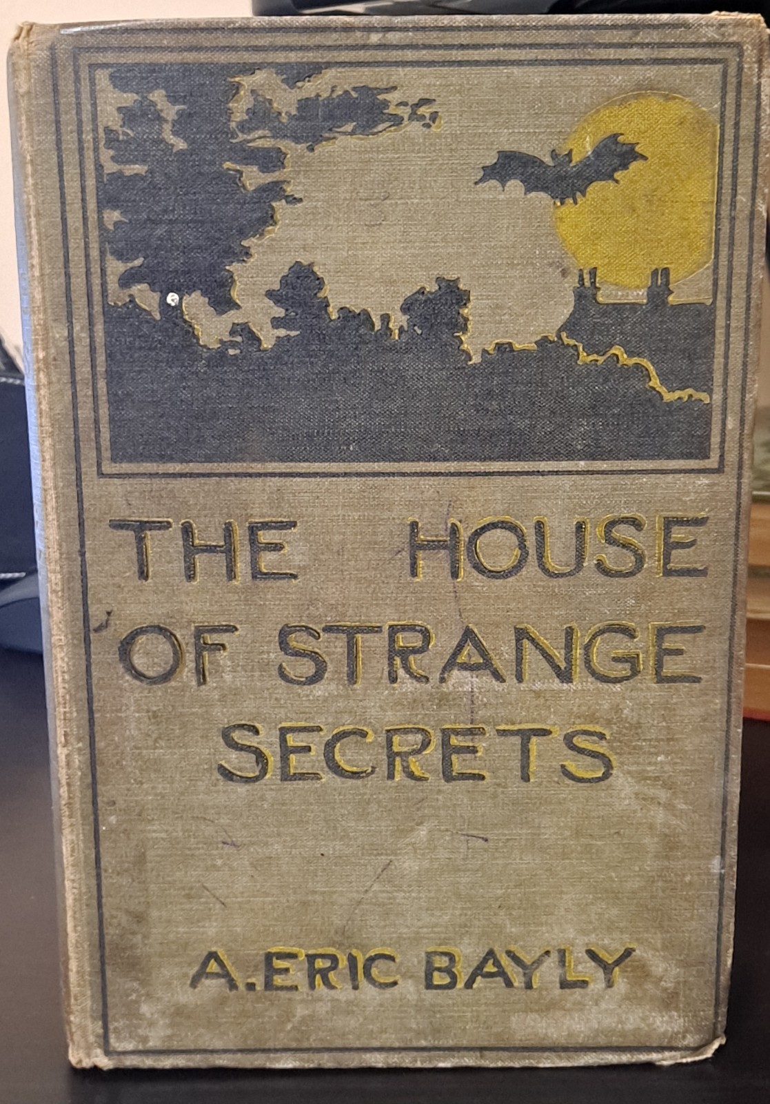The House of Strange Secrets by Eric A. Bayly 1st ed Weird Mystery 1899