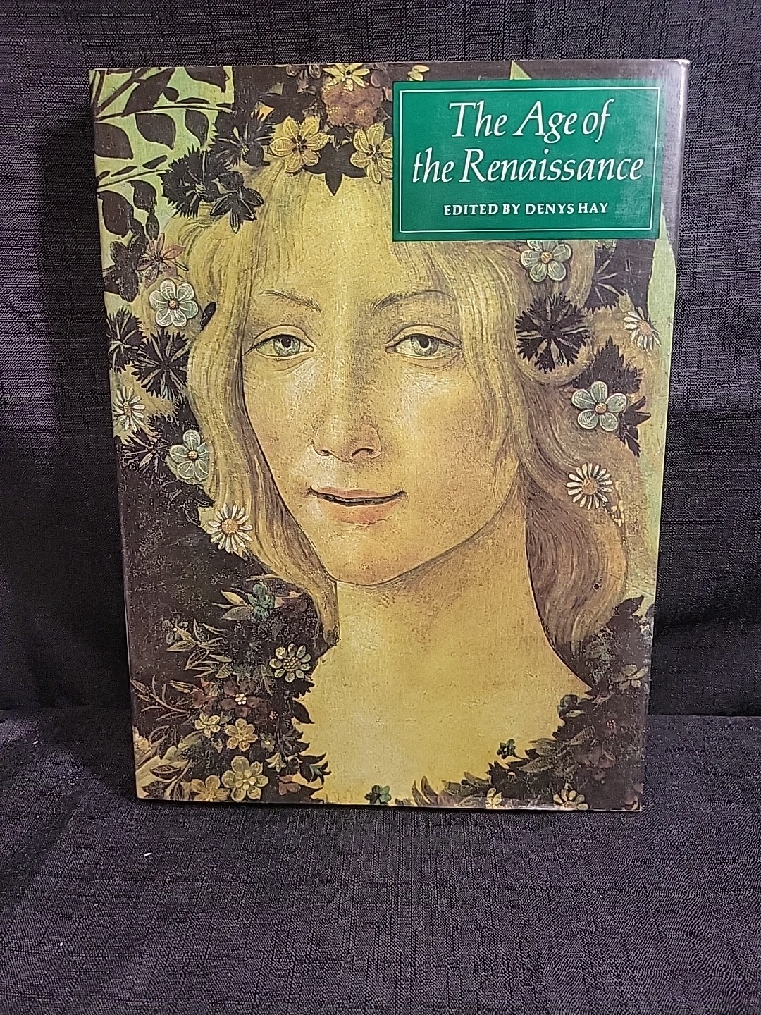1986 THE AGE OF THE RENAISSANCE BOOK EDITED BY DENYS HAY Hardback Dust Jacket
