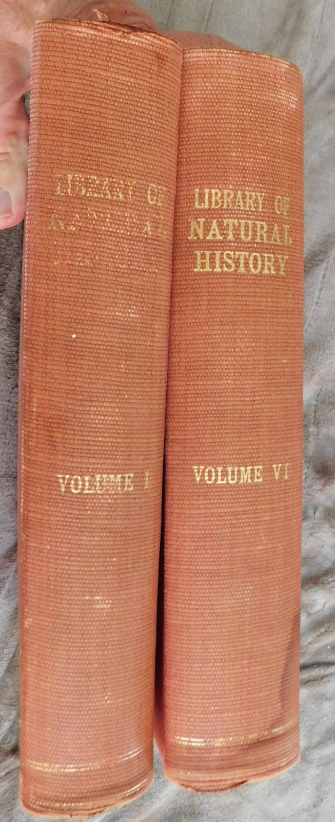 The New Library of Natural History by Richard Lydekker ALL 6 VOLUMES very good