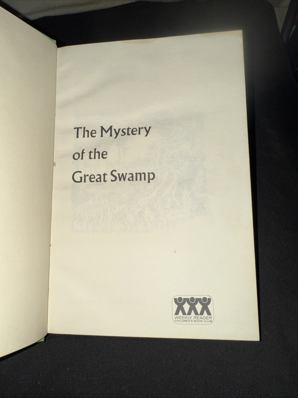 The Mystery Of The Great Swamp – Marjorie A. Zapf (1967 Hardcover)