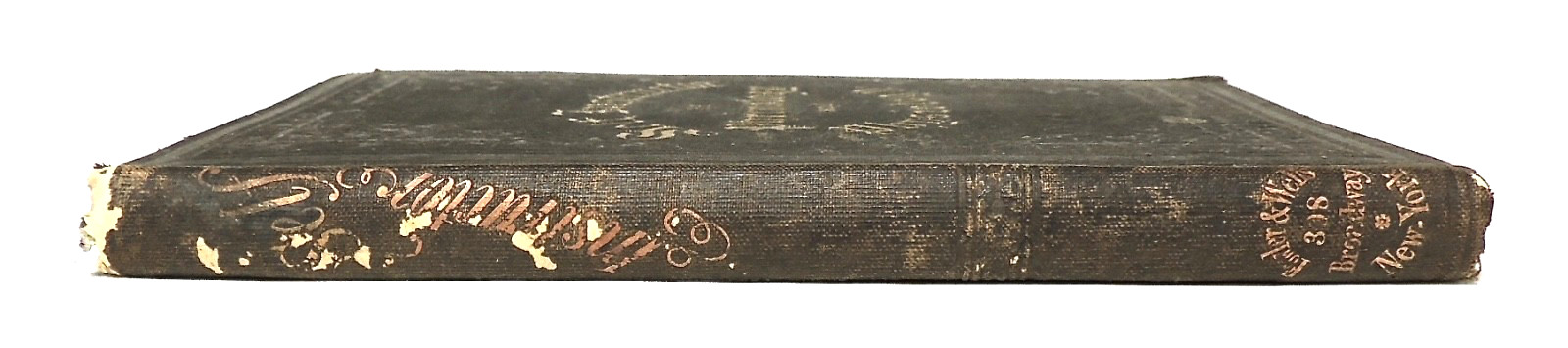 1857 Self Instructor Phrenology Physiology ~ Signed OS Fowler ~ Medical Quackery