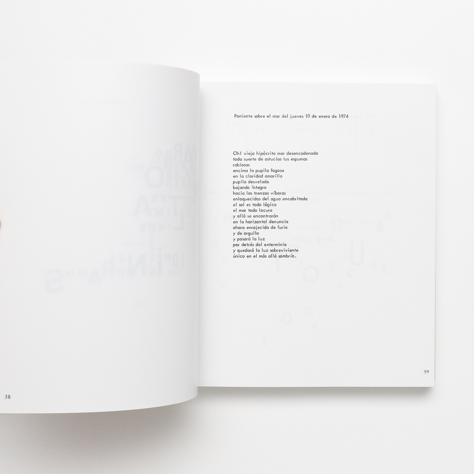 Women in Concrete Poetry 1959–1979 Book