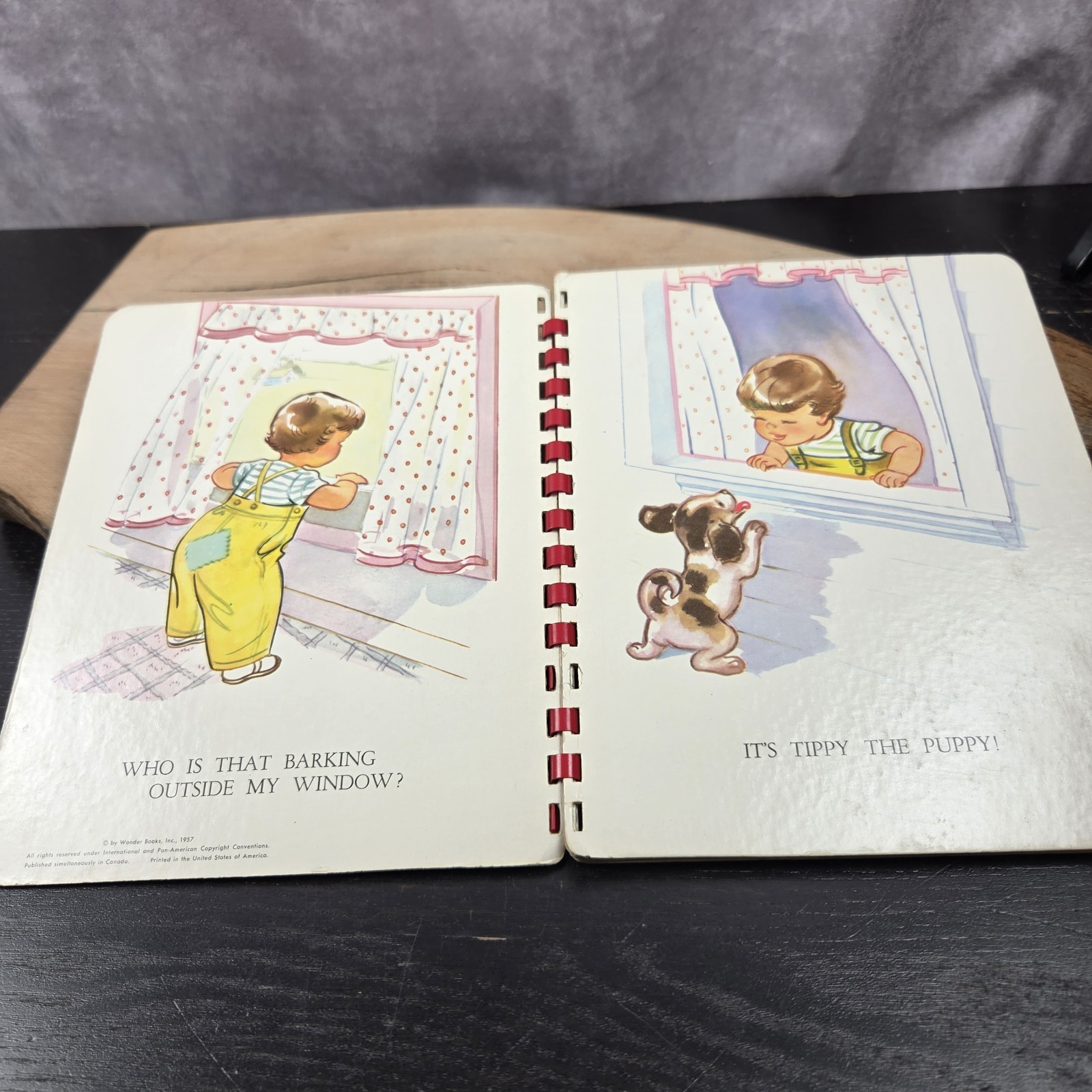 Wonder Books Baby’s Peek-A-Boo & Finger Games Sturdi-Board Spiral Children’s
