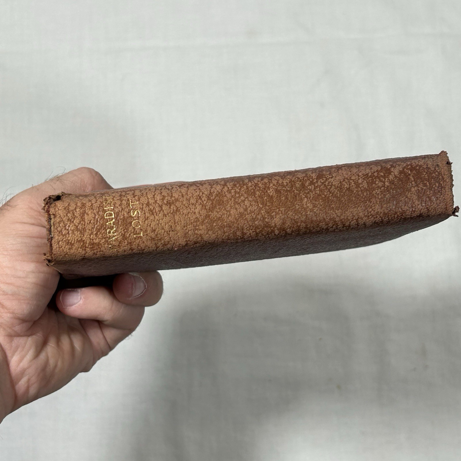 Paradise Lost by John Milton, Chicago M. A. Donohue & Co Antique Red Leather