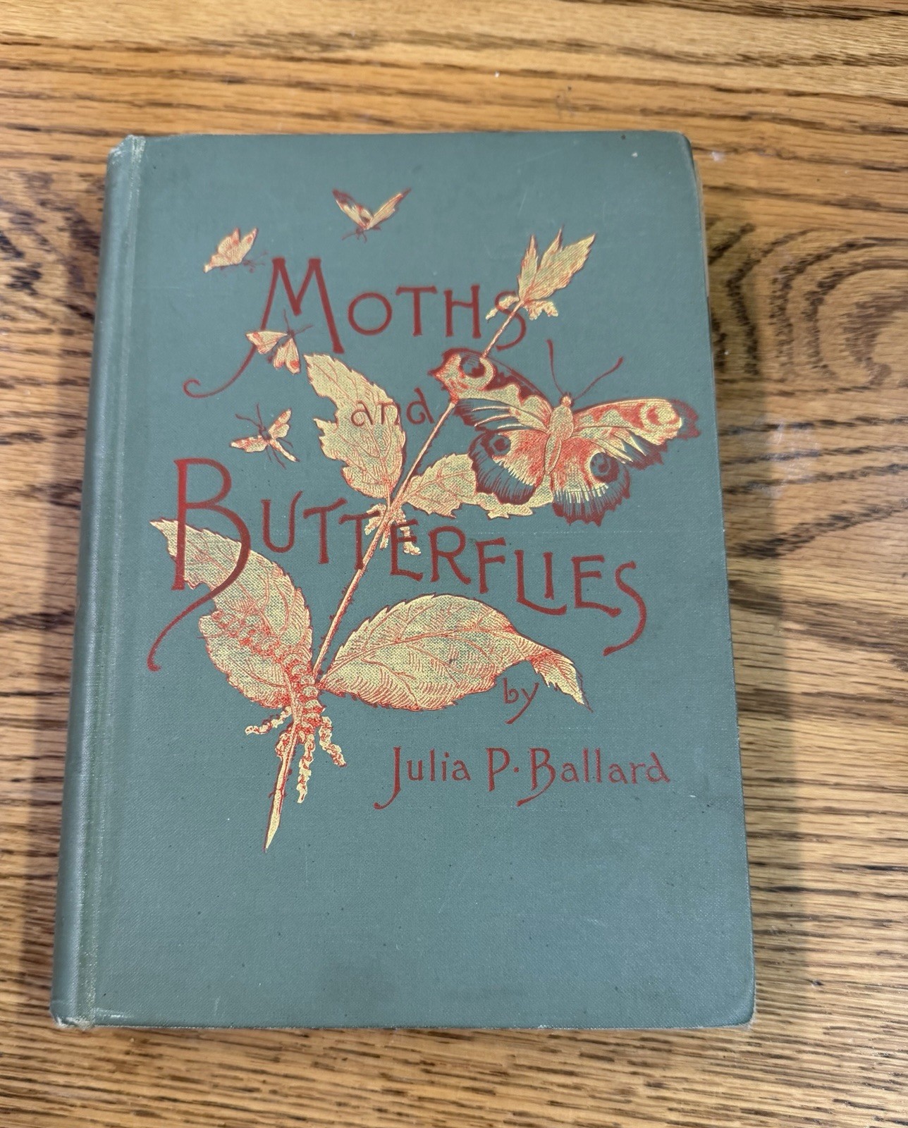 Among the Moths & Butterflies Julia Perkins Ballard 1890 hardcover book