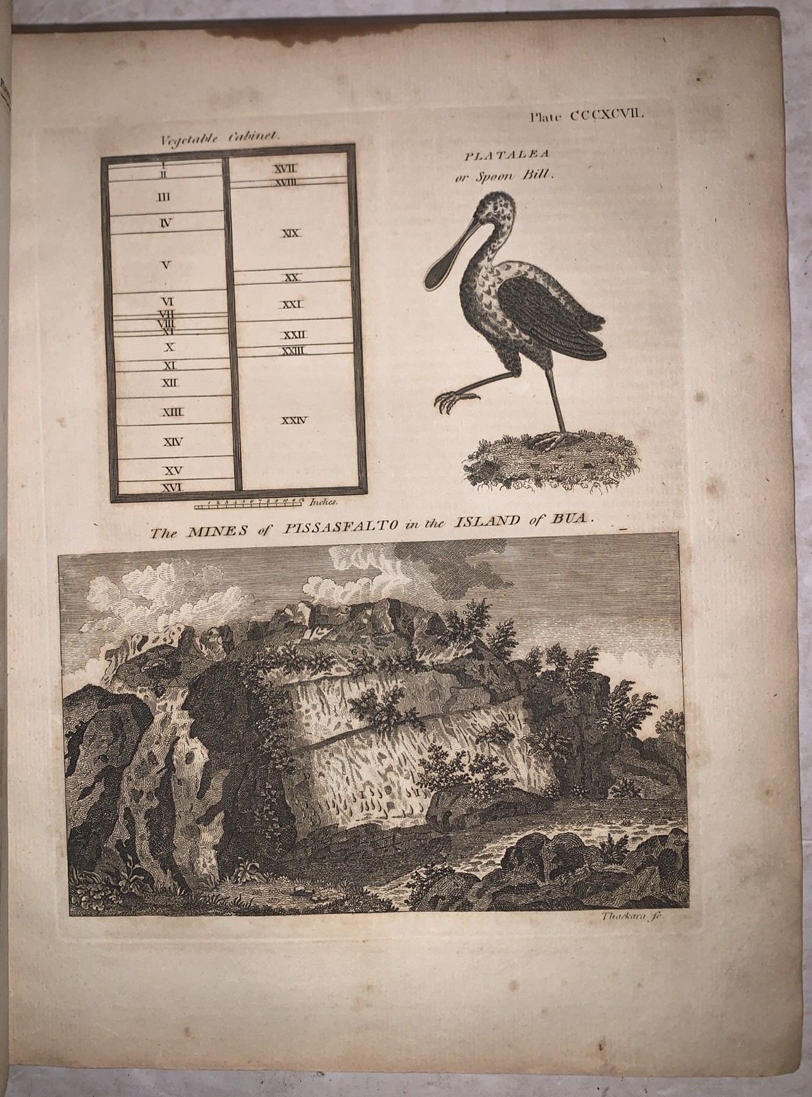 1798, 1st, ENCYCLOPAEDIA, DICTIONARY OF ARTS, SCIENCES, LITERATURE, ILLUSTRATED