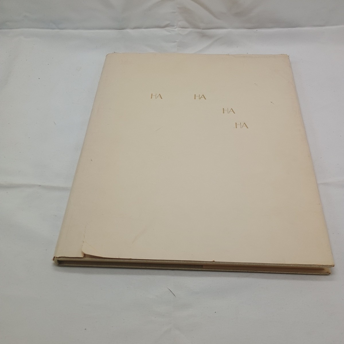 Ha Ha Ha Ha Nicholas Africano 1988 hand bound Limited Edition copy 193/750