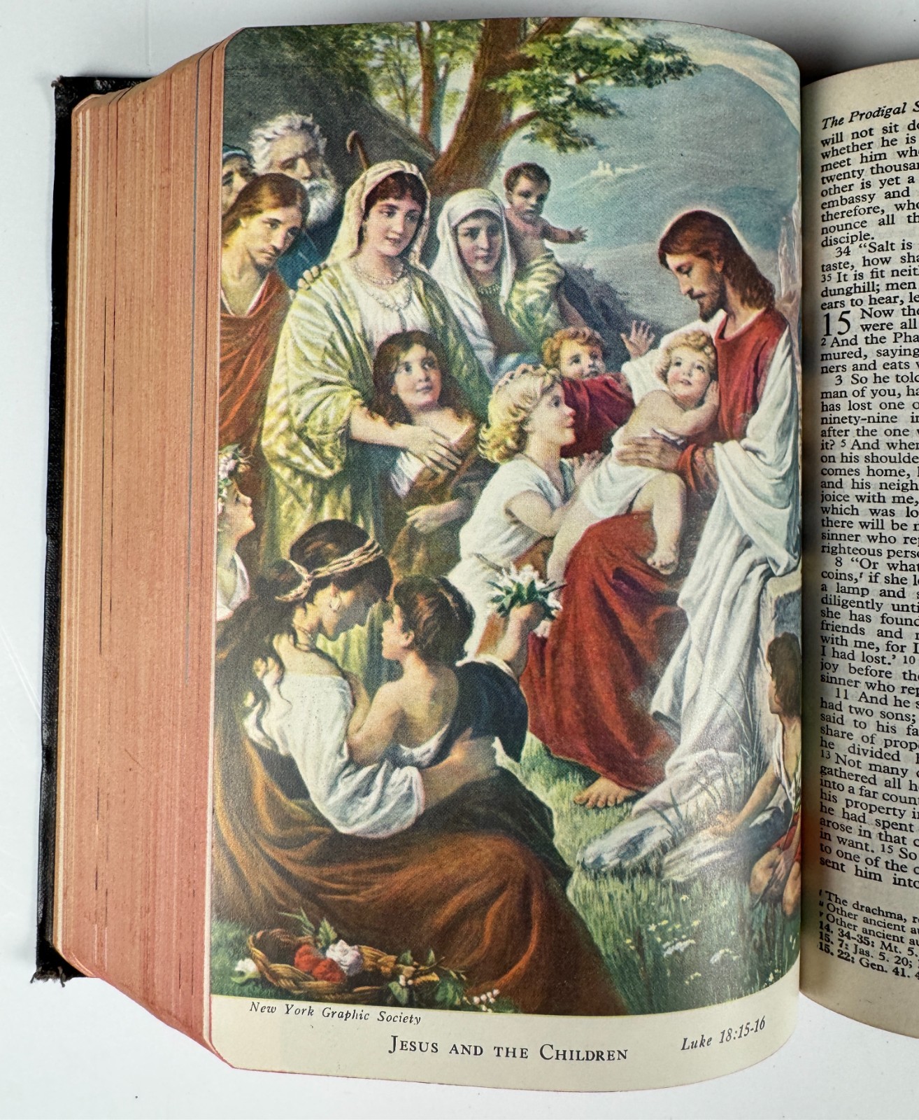 RSV Catholic Holy Bible Benziger Family Edition Vintage Hardcover Illustrated