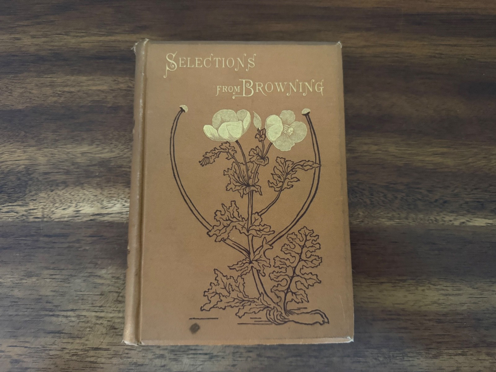 Selections from Browning by Robert Browning (1883, Vintage Hardcover)
