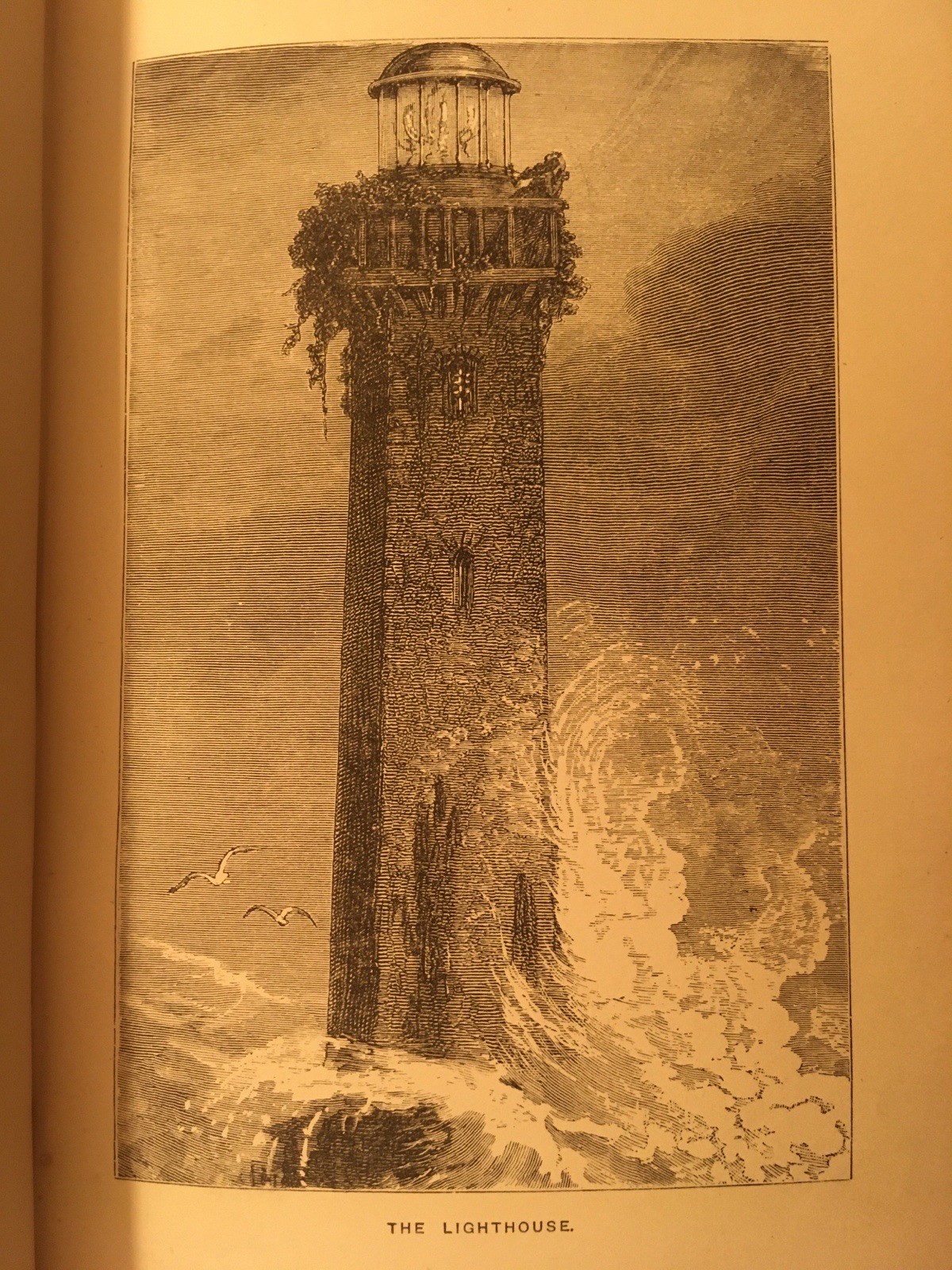 In the Wilds of Florida ~ W.H.G. Kingston 1880 1st ED TRAVEL HUNTING WARFARE