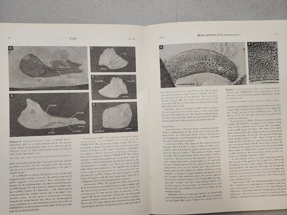 Stephen J. Gould Redescription Placoderm Fossils Cleveland Shale Kirtlandia Rare
