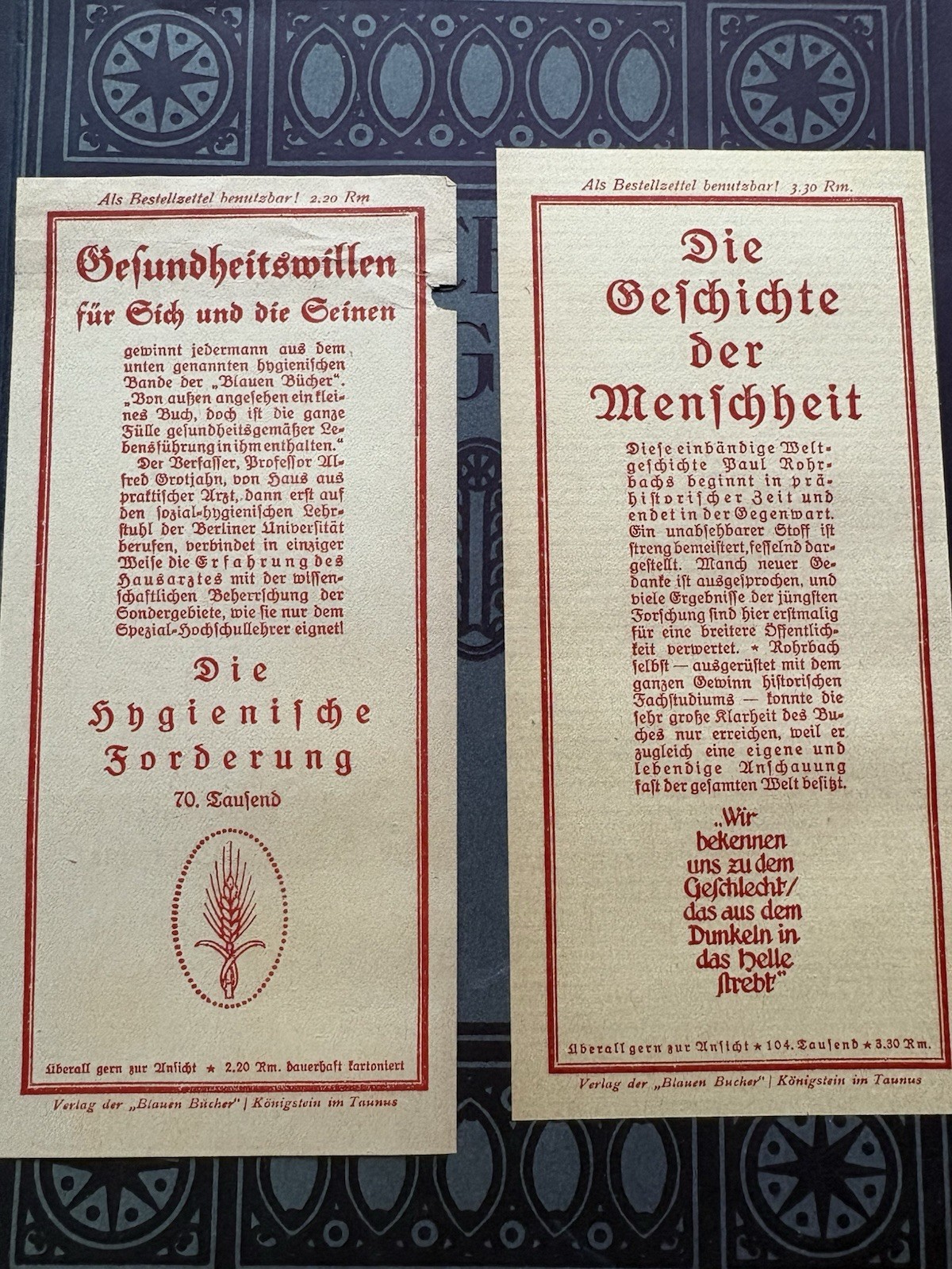 MICHELANGELO Max Sauerlandt (1920s) Die Blauen Bücher Art Plates Langewiesche