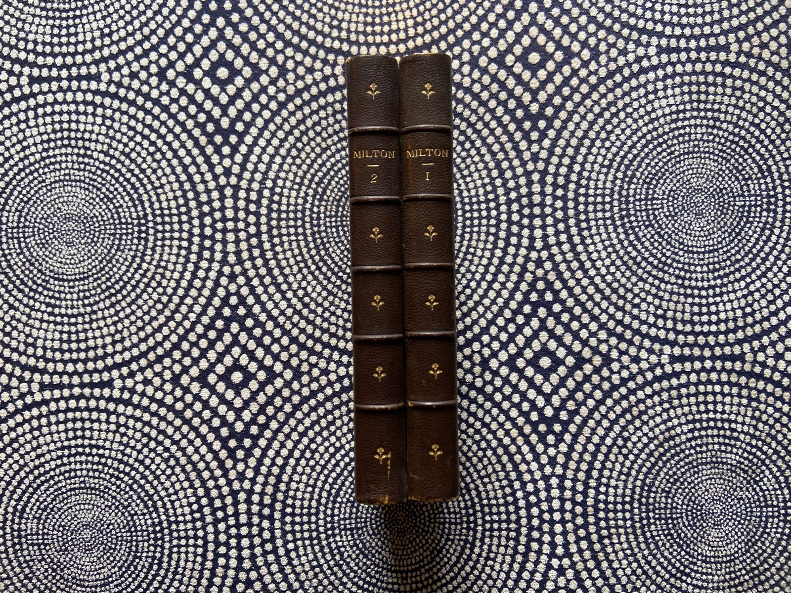 JOHN MILTON POETICAL WORKS, antique, vintage, 1890s, 2 vol leather paradise lost