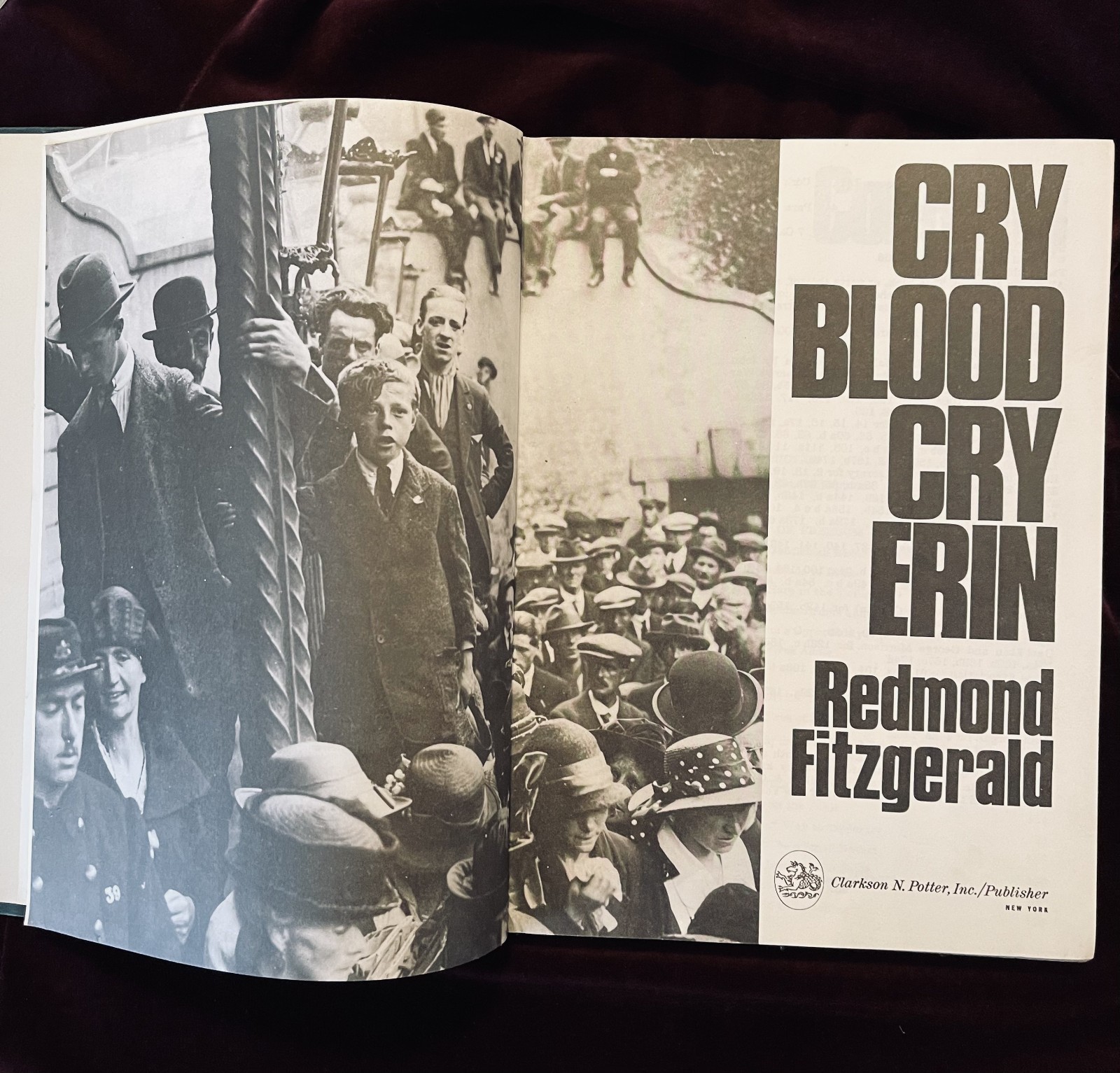 CRY BLOOD CRY ERIN – Redmond Fitzgerald – 1966 -The Fight For The Irish Republic