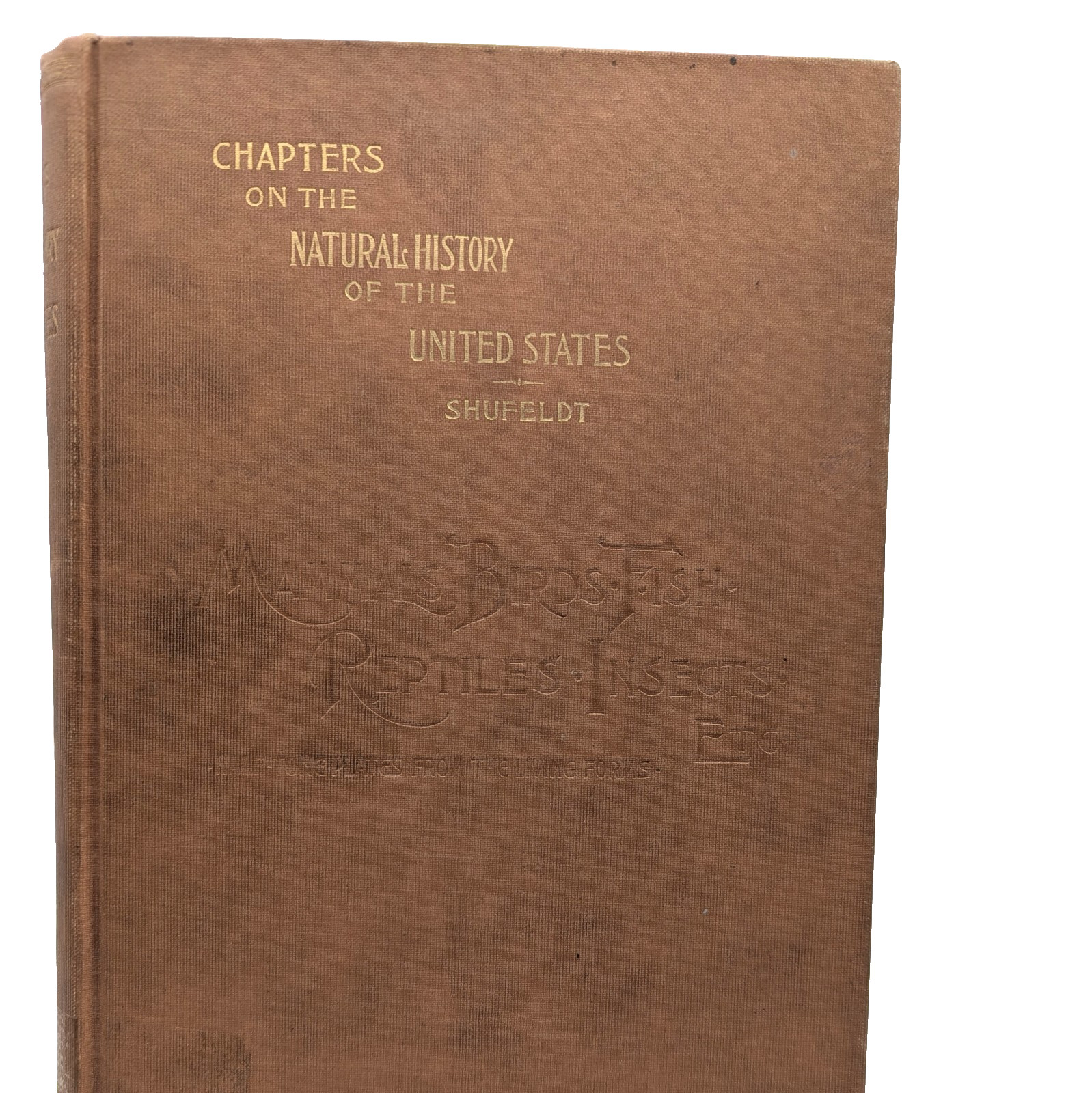 The Natural History Of The US Signed by R.W. Shufeldt, 1897 Homeschool Birds