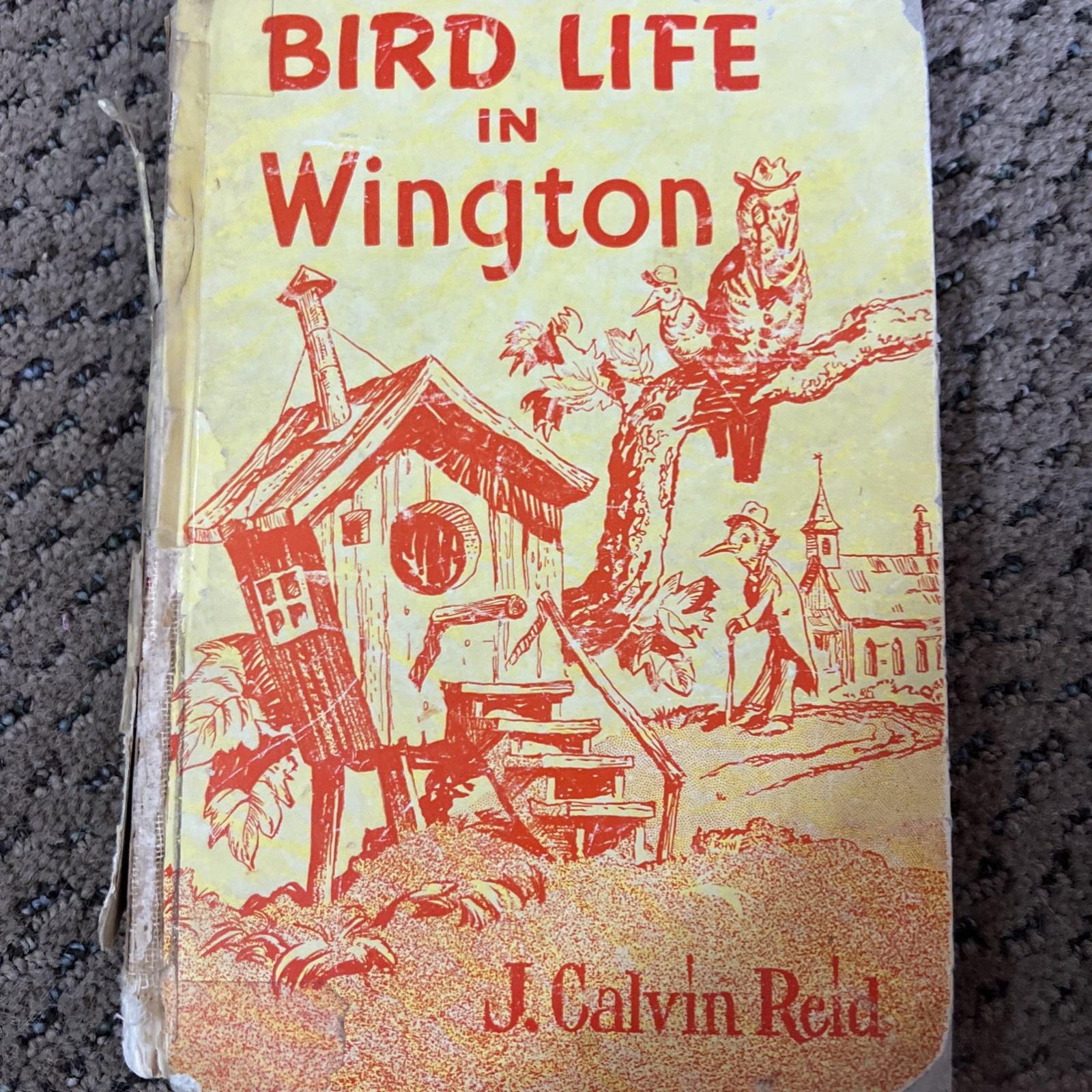 Bird Life In Wington by J. Calvin Reed